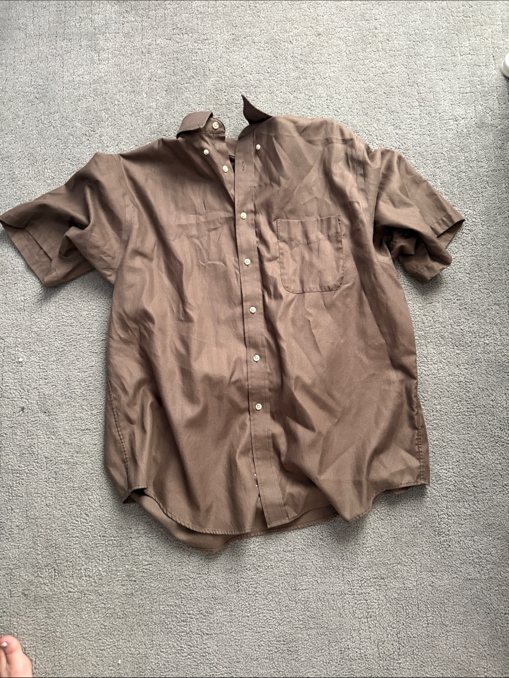 Roundtree & Yorke Short-Sleeve Button-Down Shirt in Brown